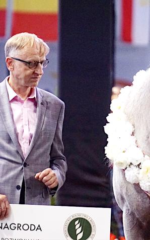 Sukces Pride of Poland. Klacz Perfinka została wylicytowana za 1 mln 250 tys. euro.