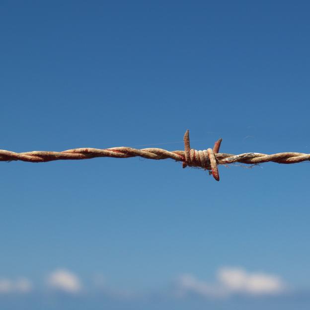 Tymczasem na granicy białoruskiej uniemożliwiono nielegalne przekroczenie 98 osobom z Afganistanu, Egiptu, Syrii, Iraku, Indii, Pakistanu, Sudanu, Somalii, RPA, Jemenu i Ghany